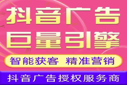 SEO百度推广策略：成功案例解析